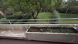 Appartamento A - Marina Di Bibbonabibbona