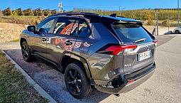 Toyota Rav4 4ª Serie - 2019