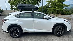 Lexus Nx300 Ibrida