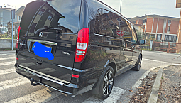 Mercedes Viano
