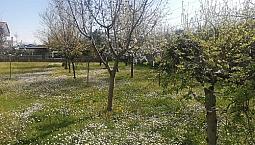 Rif. Pa154562Mr Bicamere P.terra