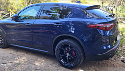 Alfa Romeo Stelvio 2.2 Td 210 Cv At8 Q4 Executive