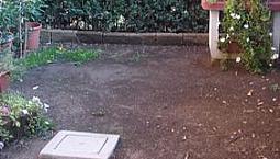 Bilocale Con Ingresso Indipendente E Giardino