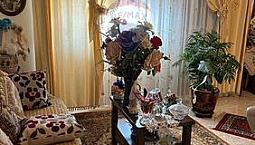 Appartamento - Cecina