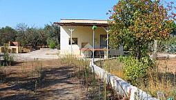 3 Locali A Carovigno