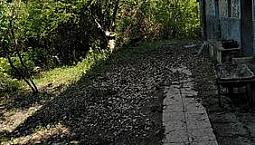 Casale/Cascina Si Permuta Con Casa A Rimini