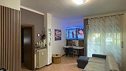 Trilocale Ristrutturato