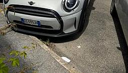Mini Mini (R56) - 2021