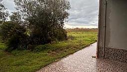 Semi Indipendente Libero Su 4 Lati Con Giardino