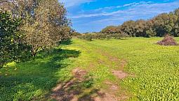 Terreno Piu Casa Da Ultimare