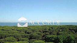 Rif.ap41_7| Appartamento Trilocale