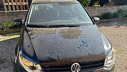 Auto Polo Usata
