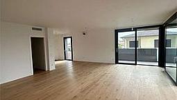 Dolo Appartamento Con Terrazza-Solarium Di 33 Mq.