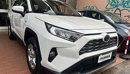 Toyota Rav 4 Rav4 2.5 Hv (222Cv) E-Cvt Awd-I Busin