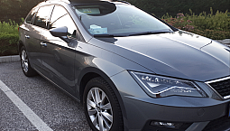 Seat Leon 1.6 Sequenziale Tdi 115 Cv Dsg St Style