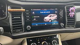 Skoda Kodiaq 2.0 Tdi Dsg