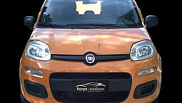 Fiat Panda 1.2 Easy Ok Neopatentati Perfetta