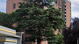 Appartamento, Bologna.