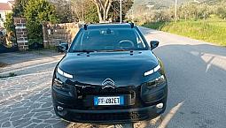 C4 Cactus Unipro Km Certificati