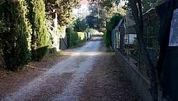 Altro - Piombino