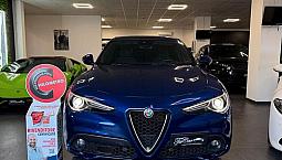 Alfa Romeo Stelvio 2.2 190Cv Q4 Navi Cruise Cam An