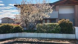 Appartamento Sacile Contesto Residenziale Elegante