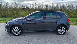 Volkswagen Golf 1.6 Tdi 115 Cv 5P. Business Bluemo