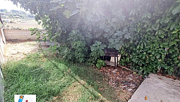 Soluzione Indipendente Con Giardino