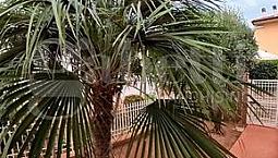 Appartamento Follonica [025/F051Vrg]