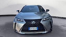 Lexus Ux Full Electric Ux 300e Premium