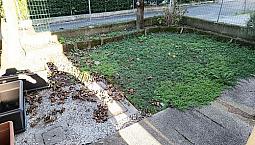 Appartamento Indipendente A Peseggia - Rif 19