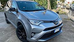 Toyota Rav 4 2.5 Hybrid Lounge 2018 Top 360 Cam