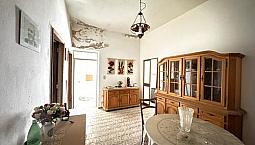 Indipendente Con Cortile Ed Ampia Terrazza