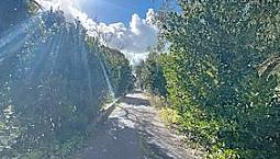 Ampia Porzione Di Villa Bifamiliare