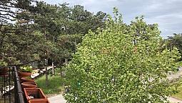 Prosecco Adiacenze Borgo San Nazario