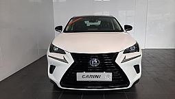 Lexus Nx 300H 2.5 Sport 4Wd Cvt