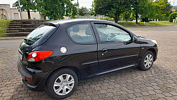 Peugeot 206 + Benz Gpl