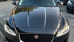 Xf 2.0 D 180 Cv Portfolio-Rate-Garanzia-Unipro