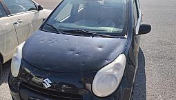 Suzuki Alto (2009) - 2009