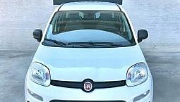 Fiat Panda 1.0 Firefly S&s Hybrid-neopatentati-uni