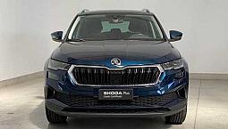 Skoda Karoq 2.0 Tdi Evo Scr 115 Cv Dsg Executive