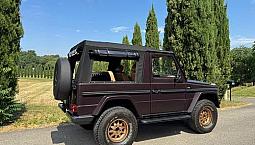 Mercedes-Benz G Wolf Tailor Made