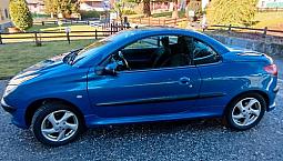 206 Cc