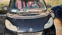 Smart Altro Modello - 2008