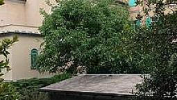 Appartamento In Albaro