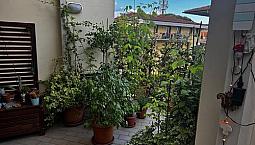 Lucca Appartamento Con Terrazzo