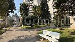 Appartamento Milano [Cod. Rif 3388474Vrg]
