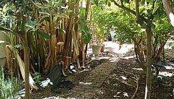Pressi Via Pergolesi - Ampio Trivano Con Giardino