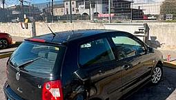 Polo 2005