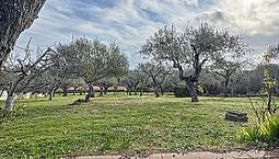 Casa Indipendente Tra Mare E Città